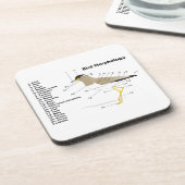 Dessous-de-verre Morphologie externe d'un Vanellus Malabaricus (Côté gauche)