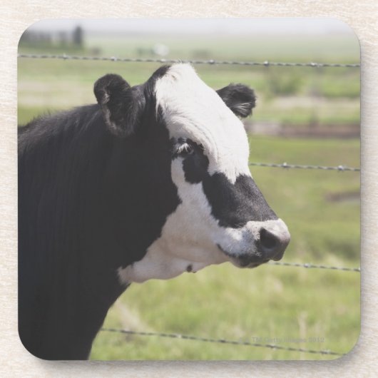 Dessous-de-verre Moseleigh, Alberta, Canada (Devant)