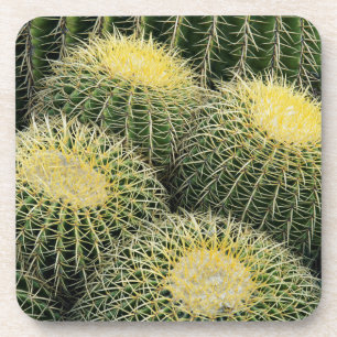 Dessous-de-verre Motif de cactus