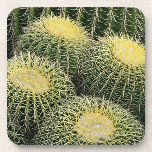 Dessous-de-verre Motif de cactus (Devant)