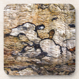 Dessous-de-verre Motif d'écorce d'arbre
