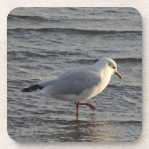 Dessous-de-verre Mouette mignonne