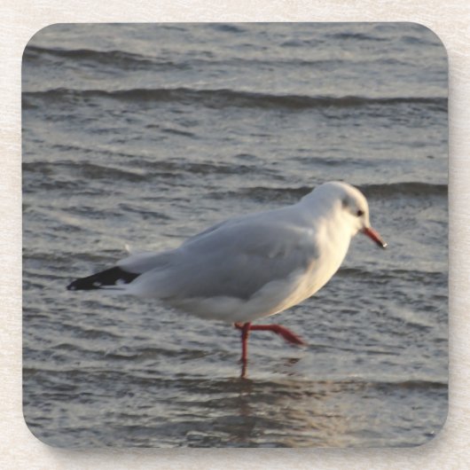Dessous-de-verre Mouette mignonne (Devant)
