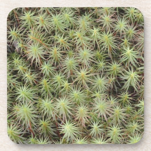 Dessous-de-verre Mousse verte (Devant)