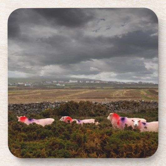 Dessous-de-verre Moutons colorés (Devant)