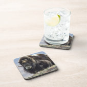 Dessous-de-verre Musk Ox with Calf (Côté Droit)