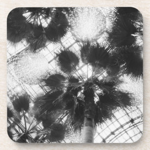 Dessous-de-verre NA, États-Unis, New York, New York City. Palmiers 