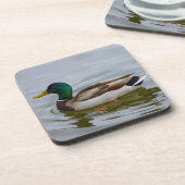 Dessous-de-verre Nager Colvert Nager (Côté gauche)