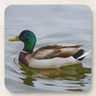 Dessous-de-verre Nager Colvert Nager