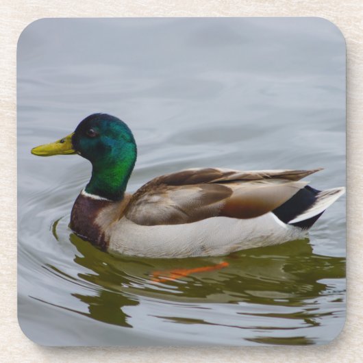 Dessous-de-verre Nager Colvert Nager (Devant)