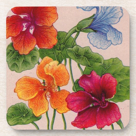 Dessous-de-verre nasturtium (Devant)