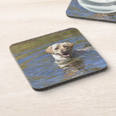 Dessous-de-verre Natation de chien (Côté gauche)