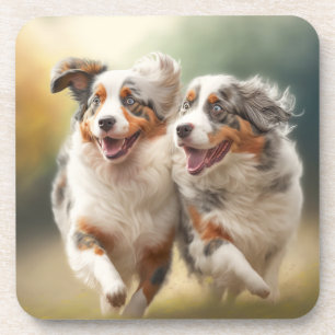 Dessous-de-verre National Australian Shepherd Day, Chien australien