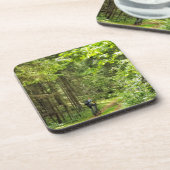 Dessous-de-verre Nature Paysage Paysage Forêt Biélorussie (Côté gauche)