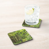 Dessous-de-verre Nature Paysage Paysage Forêt Biélorussie (Côté Droit)