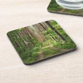 Dessous-de-verre Nature Paysage Paysage Forêt Biélorussie (Côté gauche)