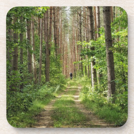 Dessous-de-verre Nature Paysage Paysage Forêt Biélorussie (Devant)