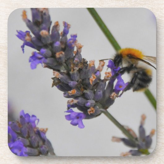 Dessous-de-verre Natures de merveilleux travailleurs (Devant)