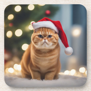 Dessous-de-verre Noël Exotique Shorthair