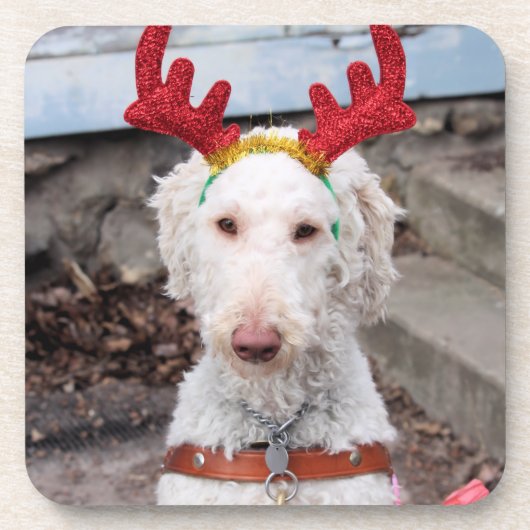 Dessous-de-verre Noël Ollie (Devant)