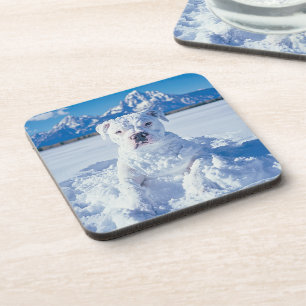 Dessous-de-verre Noël Pitbull Chien Snowman