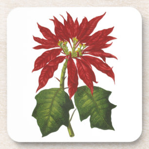 Dessous-de-verre Noël vintage, poinsettia rouge plante d'hiver