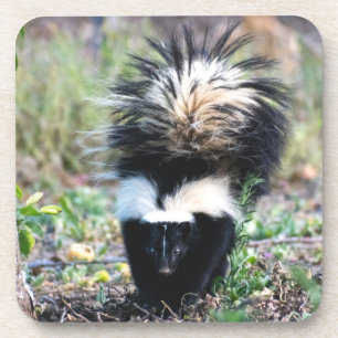 Dessous-de-verre Noir et blanc