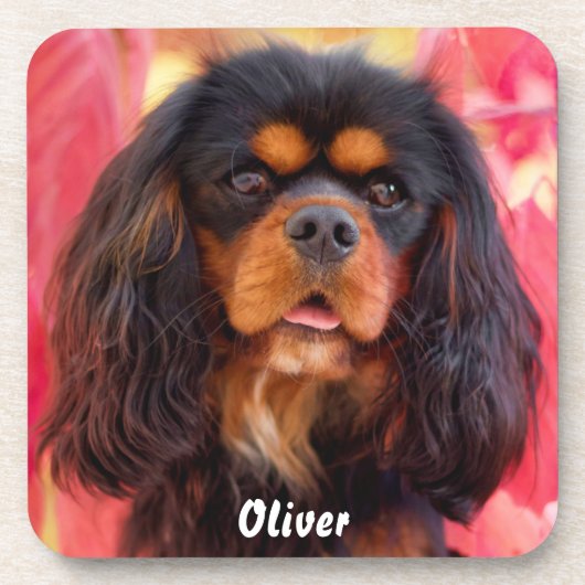 Dessous-de-verre Noir et Tan Cavalier King Charles Spaniel Chien (Devant)