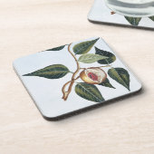 Dessous-de-verre Noix de muscade, plat 7, de 'collection Precieuse (Côté gauche)