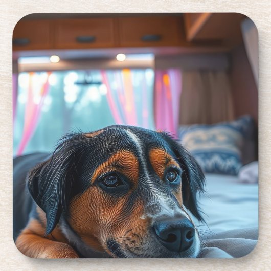 Dessous-de-verre Nom : Rêves de Chien Endormi (Devant)