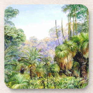 Dessous-de-verre Nord - Scène forestière en Australie occidentale,