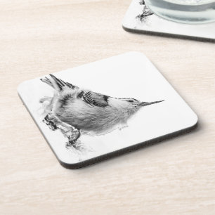 Dessous-de-verre Nuthatch, photo d'oiseaux blancs
