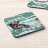 Dessous-de-verre Observation de la Loupe de mer (Côté gauche)