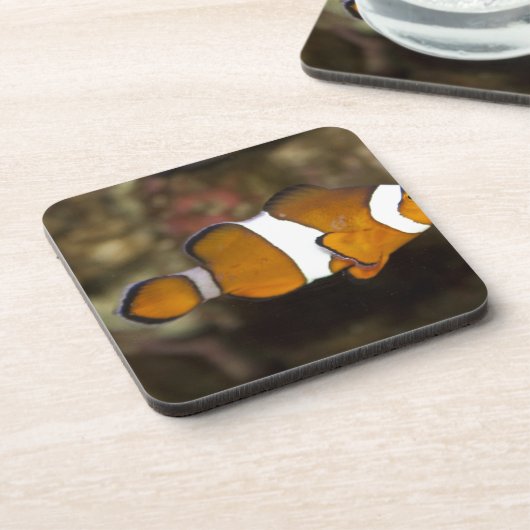 Dessous-de-verre Ocellaris Clowfish (Côté gauche)