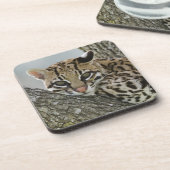 Dessous-de-verre Ocelot, Felis pardalis, captif, femelle au repos 2 (Côté gauche)