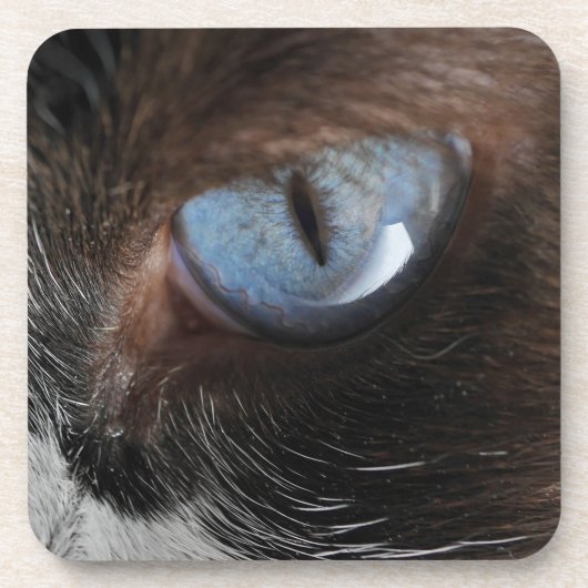 Dessous-de-verre OEil de chat.JPG (Devant)