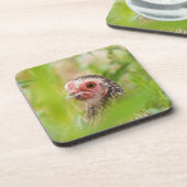 Dessous-de-verre Oiseau (Côté gauche)