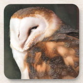 DESSOUS-DE-VERRE OISEAU DE PROIE (Devant)