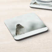 Dessous-de-verre Oiseau d'hiver (Côté gauche)