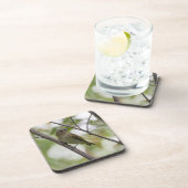 Dessous-de-verre Oiseau vert, Vireo à yeux rouges, Photographie can (Côté Droit)