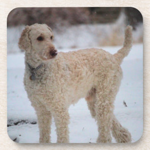 Dessous-de-verre Ollie