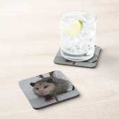 Dessous-de-verre Opossum (Côté Droit)