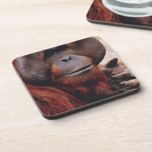 Dessous-de-verre Orang-outan (Côté gauche)