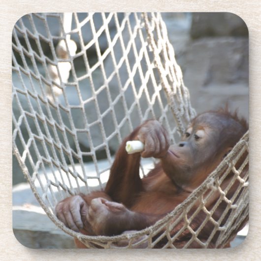 Dessous-de-verre Orang-Utan (Devant)