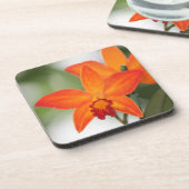 Dessous de verre oranges tropicaux d'orchidée (Côté gauche)