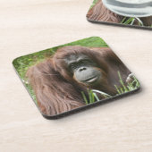 Dessous-de-verre Orangoutan (Côté gauche)