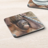 Dessous-de-verre OrangUtan 002 (Côté gauche)