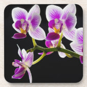 Dessous-de-verre Orchidée blanche et violette (Devant)