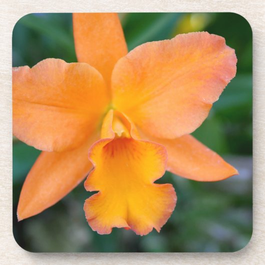 Dessous-de-verre Orchidée saumon (Devant)