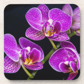 Dessous-de-verre Orchidée violette (Devant)